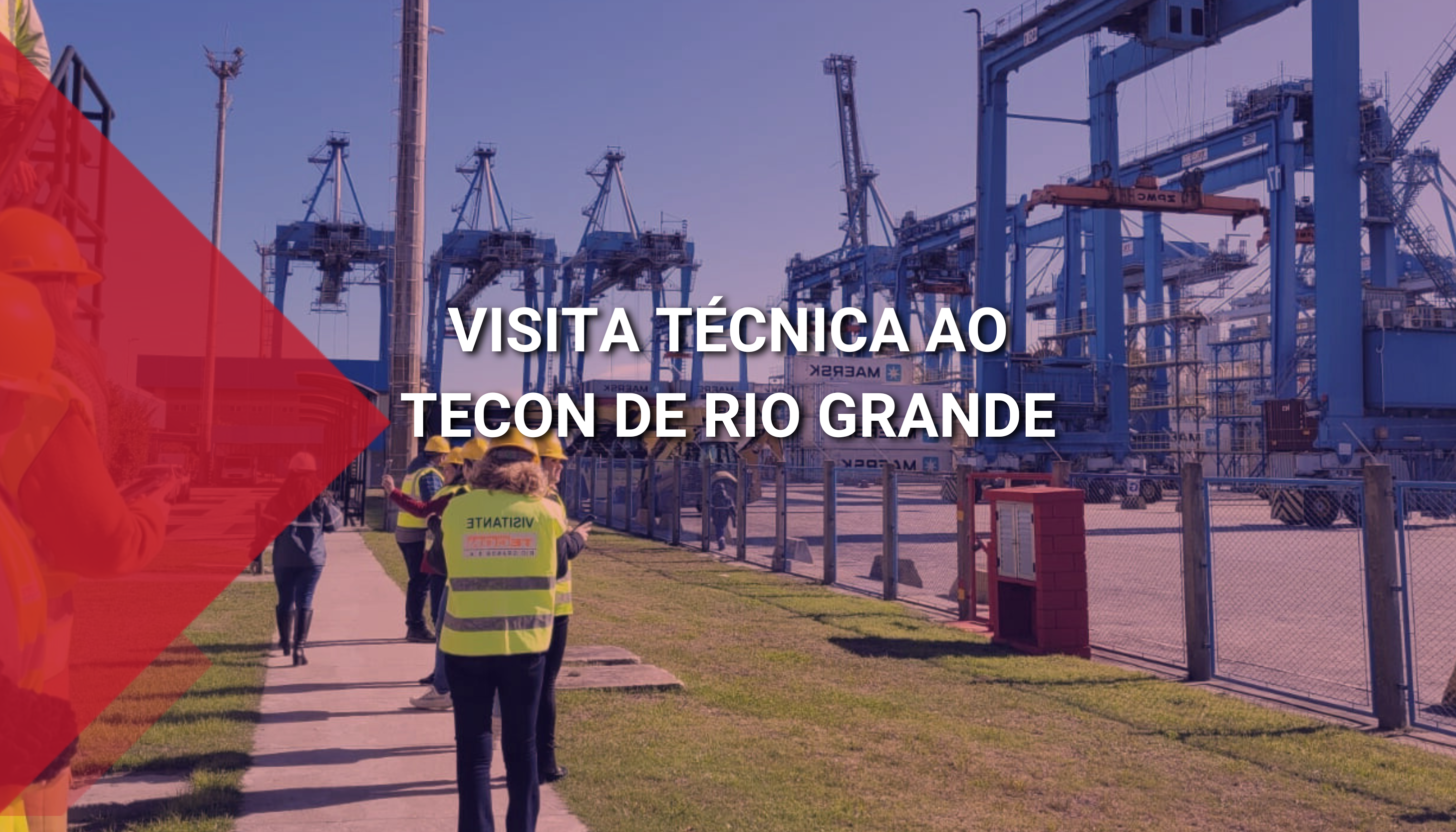 a imagem mostra os guindastes portuários do terminal de conteiners do Rio Grande