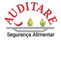 Auditare