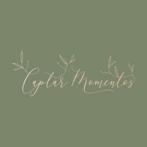 Captar Momentos