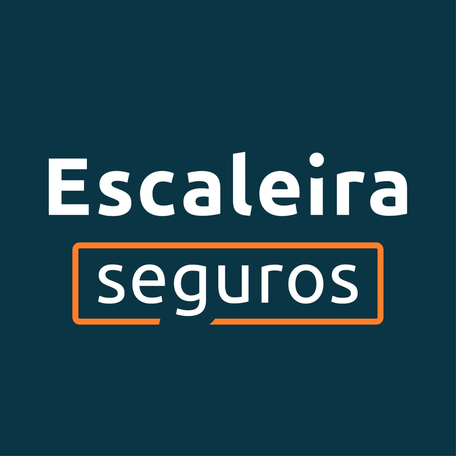 Escaleira Seguros